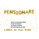 PensiaC2A5 vafa pensionare 20x15cm